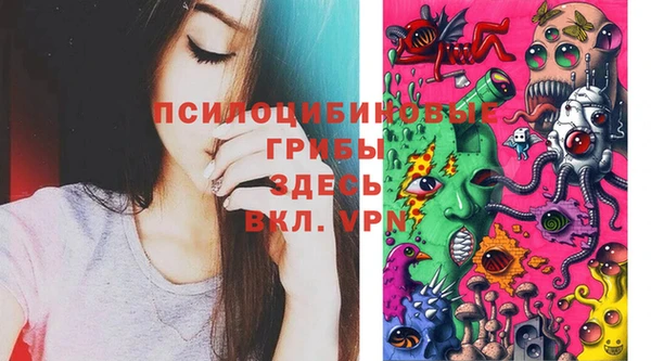 прущие грибы Алексеевка