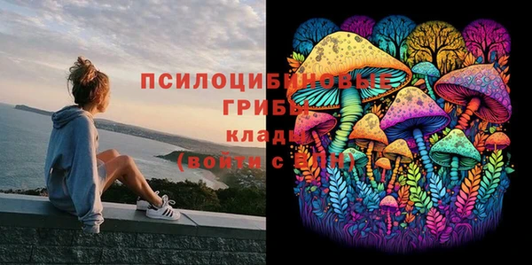 ПСИЛОЦИБИНОВЫЕ ГРИБЫ Алексин
