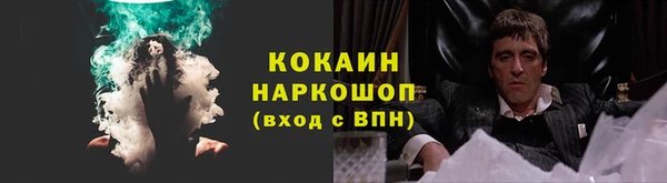 ПСИЛОЦИБИНОВЫЕ ГРИБЫ Алексин