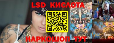 шишки Братск
