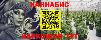 крисы Боровичи