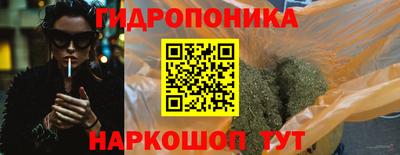 крисы Боровичи