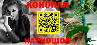 шишки Братск