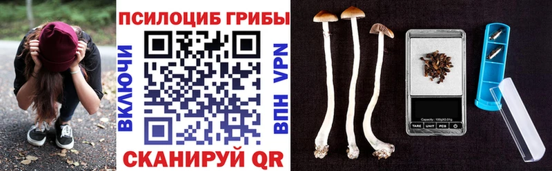 Псилоцибиновые грибы ЛСД купить наркотик Тейково