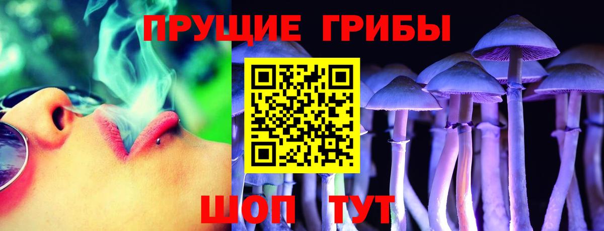 Тейково  Псилоцибиновые грибы прущие грибы  купить наркотики сайты  Вход с VPN 