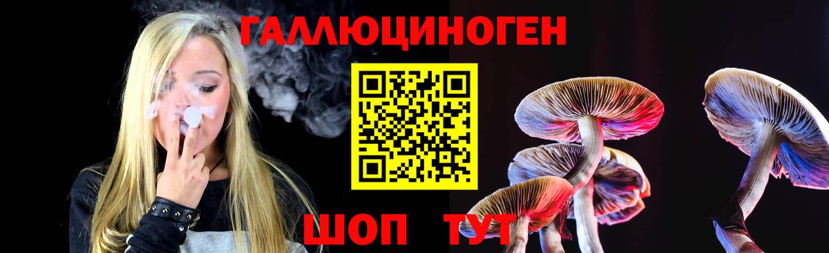 Псилоцибиновые грибы Psilocybe Тейково